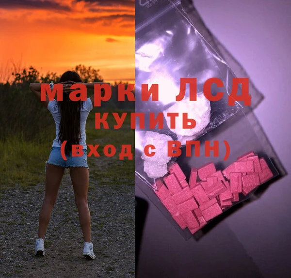 спайс Баксан