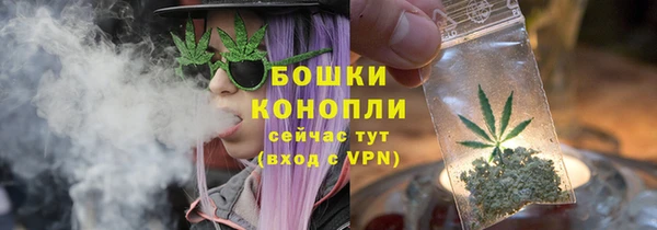 спайс Баксан