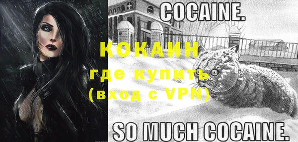 спайс Баксан