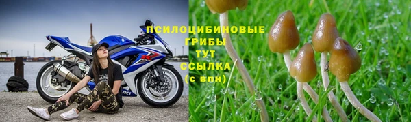 мяу мяу кристалл Балахна