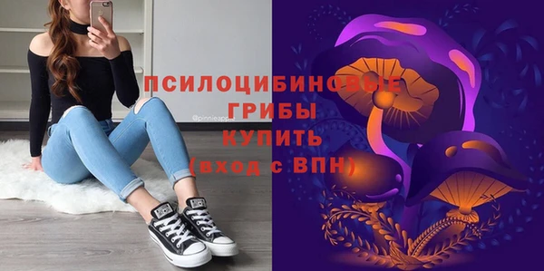 spice Балабаново