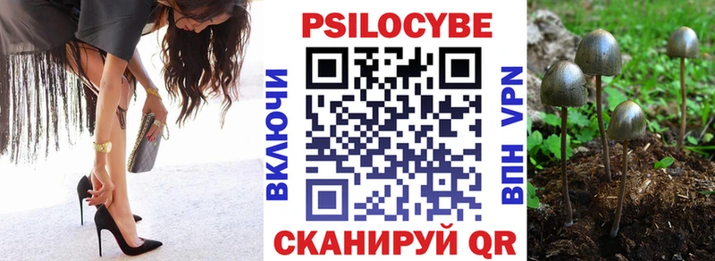 Псилоцибиновые грибы Psilocybe  Пятигорск 