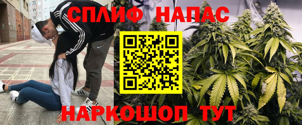 Бошки Шишки гибрид Пятигорск